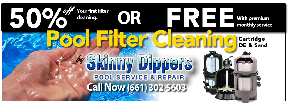 Pool Filter Cleaning  Skinny Dipppers The Bakersfield Pool Pros
